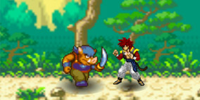 Dragon Ball Fierce Fighting 2.8