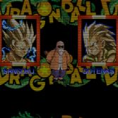 Dragon Ball Z Mugen Hyper Dimension - In game screenshot
