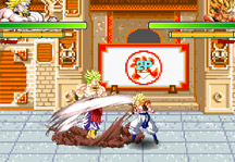 DBZ Fierce Fighting 2.2