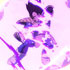 Dragon Ball FighterZ: Goku and Vegeta from Saiyan Saga gameplay trailers