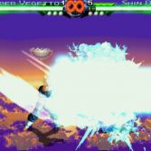 Dragon Ball Z Mugen 2007 - Screenshot