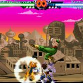 Dragon Ball Z Mugen 2009 - Screenshot
